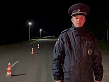 Автомобилист задавил пешехода в Нижегородской области и сбежал с места ДТП