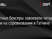 Областные боксеры завоевали четыре медали на соревновании в Гатчине