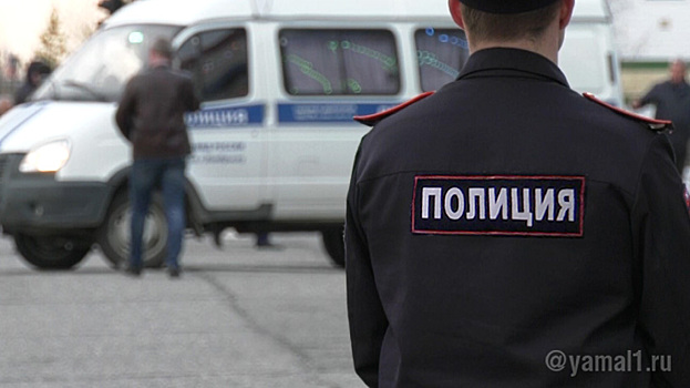 Полиция разбирается в обстоятельствах драки посетителя и охранника в ТЦ Нового Уренгоя