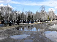 Владимир Мутовкин посетил Восточное кладбище с инспекционный визитом