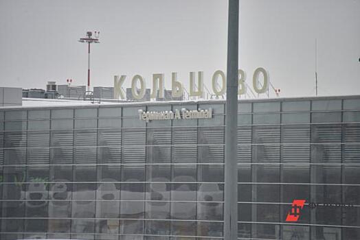 Сайт свердловского аэропорта Кольцово подвергся DDos-атаке