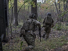 Украинские военные добровольно сдались в плен в Красноармейске