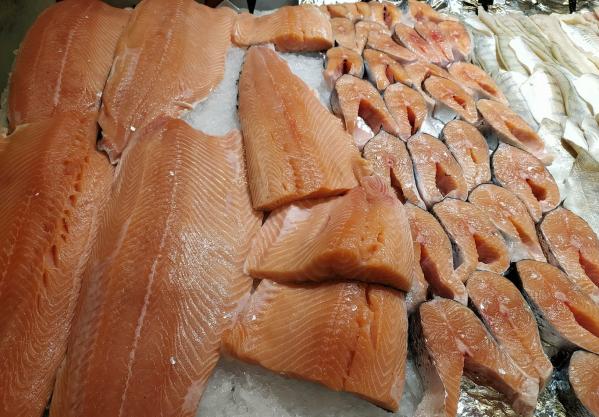 В Вологде начнут выращивать атлантического лосося