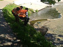 Из прудов в парке имени Кирова ежедневно достают более 20 кубов мусора