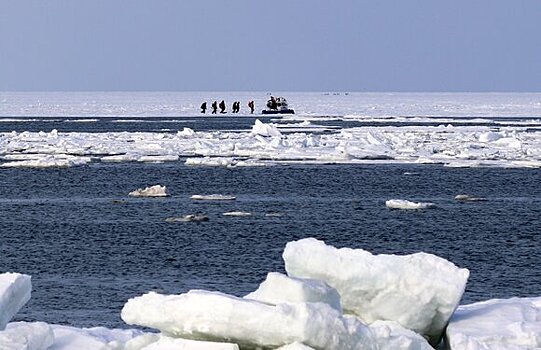 Более 20 человек спасли с отколовшейся льдины в Таганроге