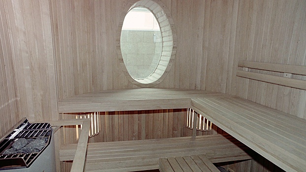 Стубб: гренландский вопрос может решить поход с Трампом в сауну