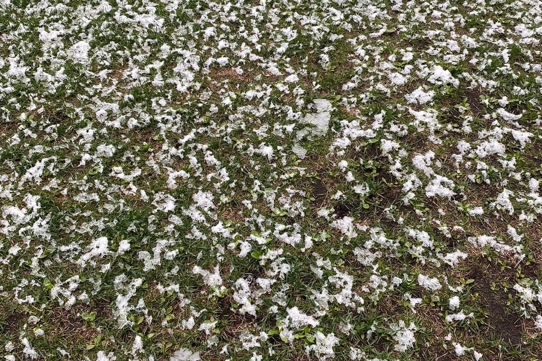 В новгороде выпал снег. Снег в мае. Первый снег в Нижнем Новгороде 2022. Выпал снег. Нижний Новгород одна сторона трава другая снег.