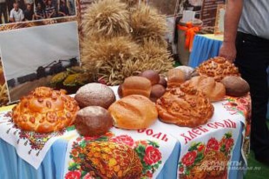 В Самаре организованы предпраздничные сельскохозяйственные ярмарки