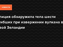 В Новой Зеландии обнаружили тела шести погибших при извержении вулкана