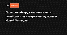 В Новой Зеландии обнаружили тела шести погибших при извержении вулкана