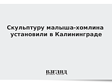 В Калининграде установили третью фигурку домового-хомлина