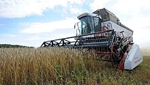 Перед нижегородскими аграриями поставлена задача собрать 1,5 млн тонн зерна
