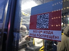Исключением не стали. Омские депутаты поддержали введение QR-кодов с 1 февраля