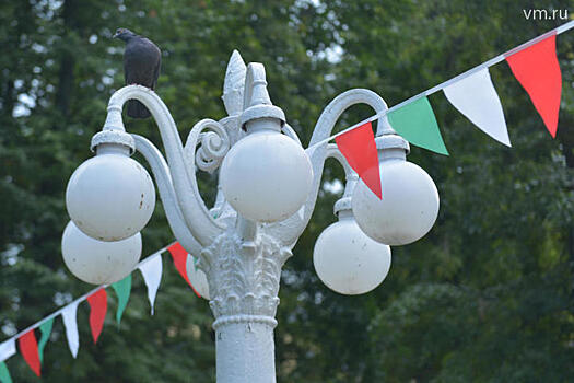 В Подмосковье с начала года починили более 5 тыс. объектов освещения