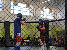 В Ставрополе завершился турнир по смешанным единоборствам и каратэ имени Героя России Нурмагомеда Гаджимагомедова