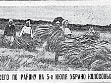 Чем занимались дети Выселковского района на школьных каникулах 90 лет назад?