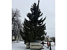 На главной площади Кузнецка установили елку