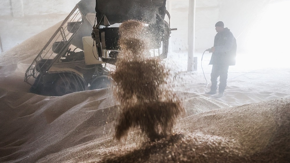 В 2023 году Россия более чем в 5 раз увеличила поставки зерна в Пакистан