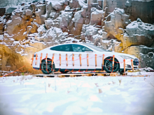 Видео: Tesla Model S с манекеном Илона Маска уничтожили с помощью взрывчатки