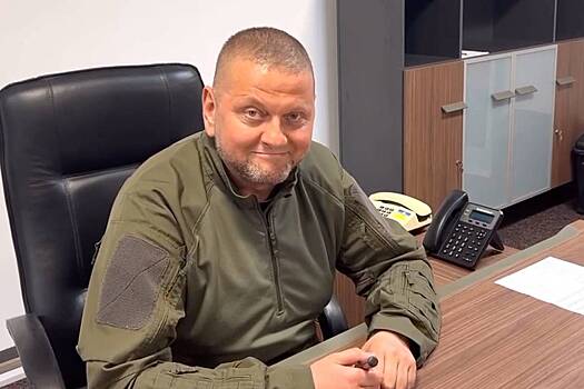 На Украине опубликовали новое видео с Залужным