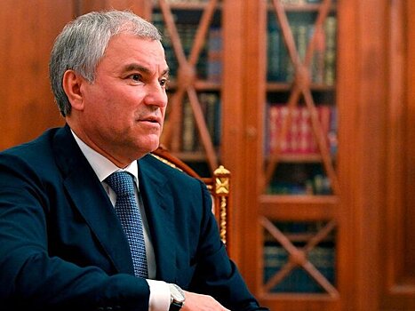 Володин ответил на заявление главы бундестага ФРГ о "бывшей Советской" армии