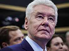 Собянин подписал закон о повышении стоимости патентов для мигрантов в Москве