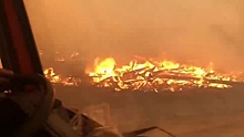 Сибирь горит: пожары охватили уже 3 млн гектаров