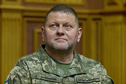 Украинский военнослужащий раскрыл позывной Залужного