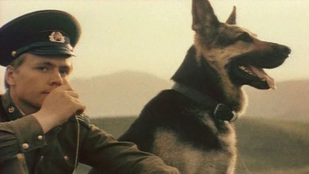 Мнгие считают, что картина Файта "Пограничный пес Алый" о дружбе новобранца пограничных войск и служебного пса положила начало фильмам о преданности собак своим хозяевам, которые после этого снимались в России и СССР.