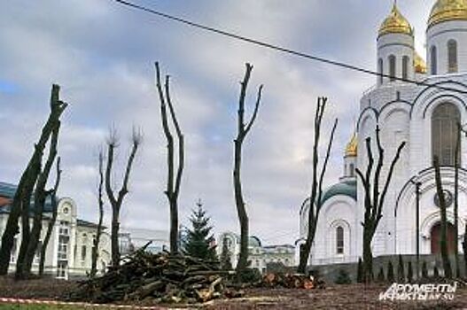 Обрезку деревьев у храма в Калининграде провели с нарушением - мэрия
