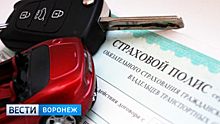 Воронежских автомобилистов предупредили о мошенниках в сфере ОСАГО
