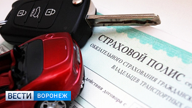 Воронежских автомобилистов предупредили о мошенниках в сфере ОСАГО
