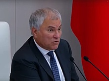 Володин предложил добиваться экстрадиции Чубайса