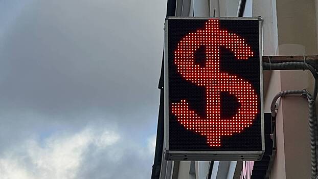 Курс доллара вырос после резкого падения