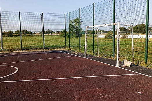 В Ленобласти школьник попал в реанимацию после падения ворот на спортплощадке