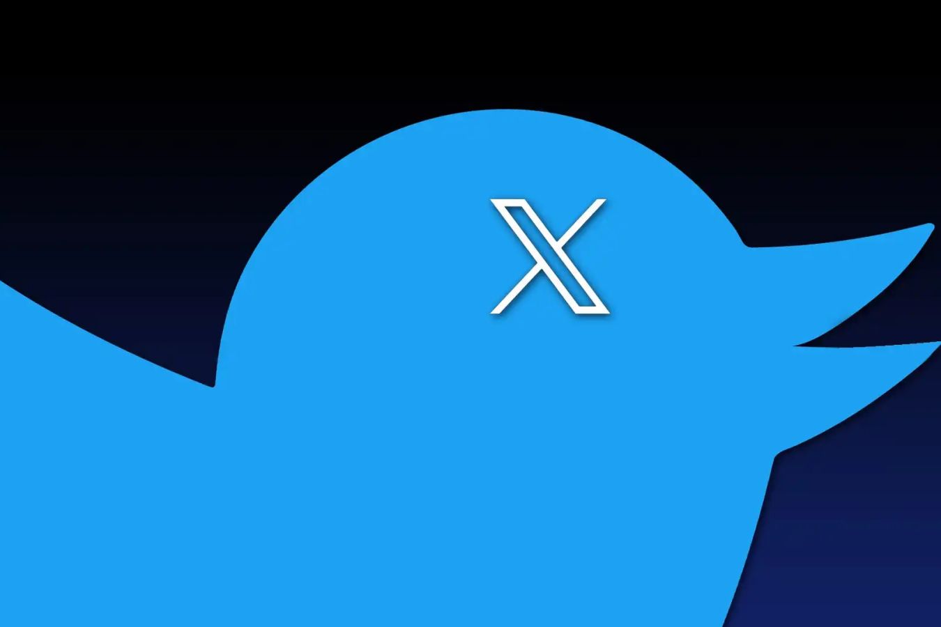 Илон Маск официально переименовал Twitter — теперь это соцсеть X