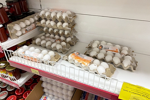 Стало известно, где в России самые дорогие и дешевые яйца