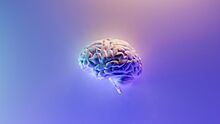 Обнаружены новые механизмы развития болезни Альцгеймера