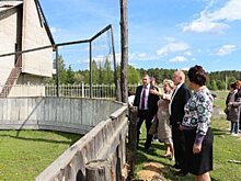 Вместо старого корта новая многофункциональная площадка