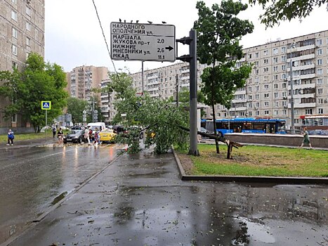 «Суперливень» и ураган накрыли Москву: видео разрушительных последствий