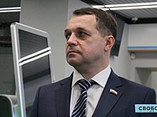 Внешнеторговый оборот Саратовской области и Ирана превысил 217 миллионов долларов