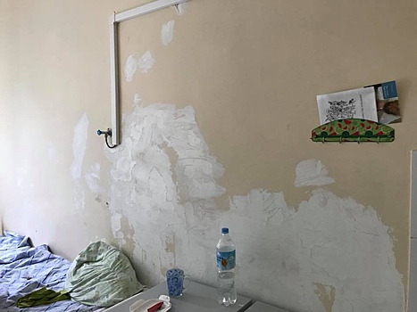 Мыши и ободранные стены: пациентка рассказала об ужасах московской больницы