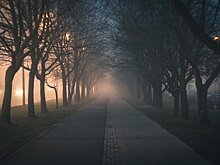 Эколог: почему в Подмосковье возник сильный туман?