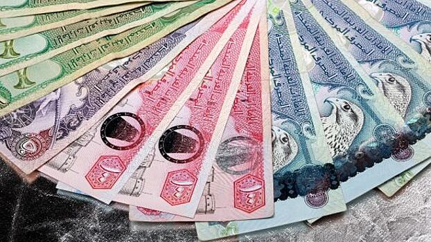 Аналитик Разуваев рассказывает о причинах инвестирования в дирхам ОАЭ