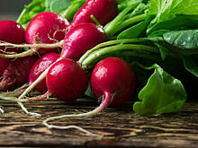 Фонд основателя «Вкусвилл» Андрея Кривенко инвестировал в сеть гастрономических лавок «Редиска»