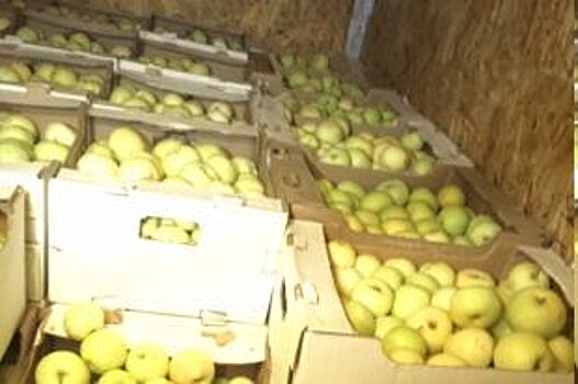На дороге в Челябинск развернули фуру с яблоками неизвестного происхождения