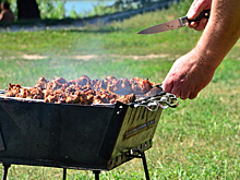 Сосед покарал обитателей таунхауса за завершение пикника