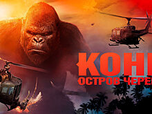 Во Вьетнаме снесут съемочную площадку фильма «Конг: Остров черепа»