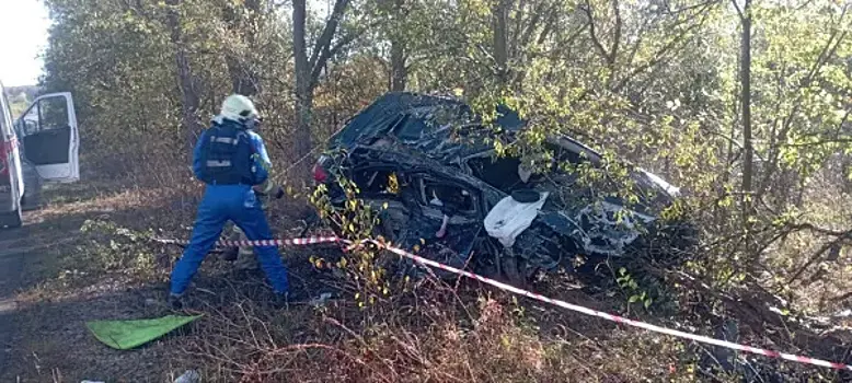 В Самарской области 28 сентября в ДТП около поселка Рощинский погибла девушка