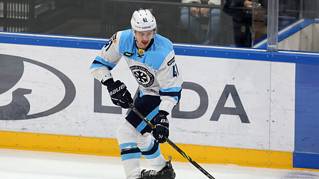 Гордеев, из‑за ситуации с гражданством которого с «Сибири» сняли очки, перешел в клуб ECHL
